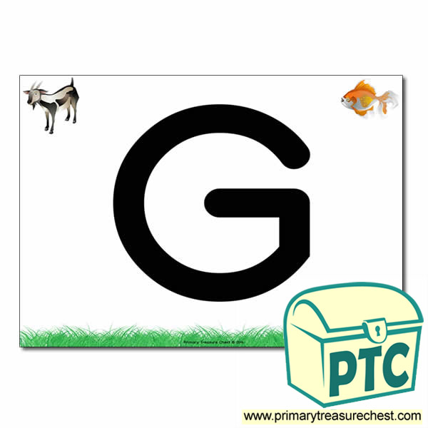 'G' Uppercase Letter A4 poster with high quality realistic images