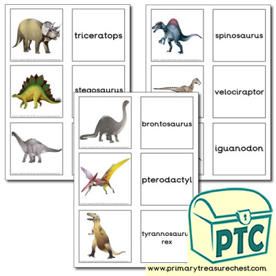 Dinosaur Themed Matching Cards