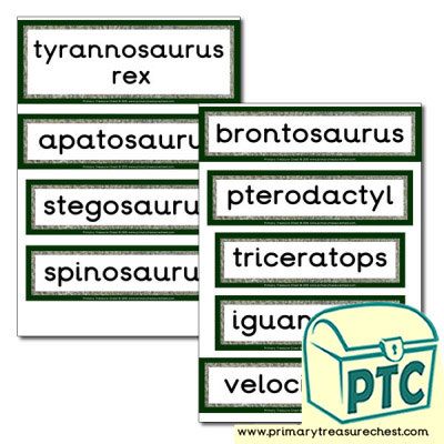 Dinosaur Themed Display Words