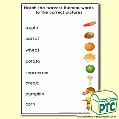 Harvest  Themed Matching Words to the Pictures 