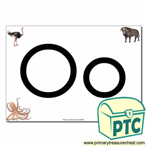 'Oo' Upper and Lowercase Letters A4 posterposter with realistic images
