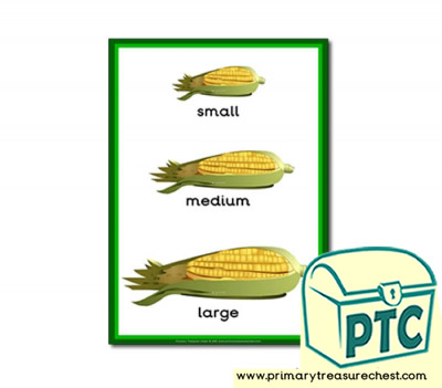 Corn on the cob themed ‘Small - Medium – Large’ - A4 poster