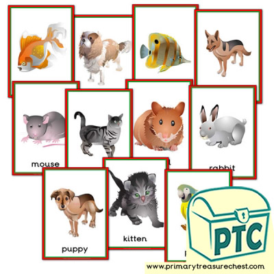 Pet Animals Themed Posters - Primary Treasure Chest