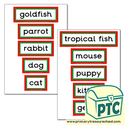 Pet Animals Themed Display Words