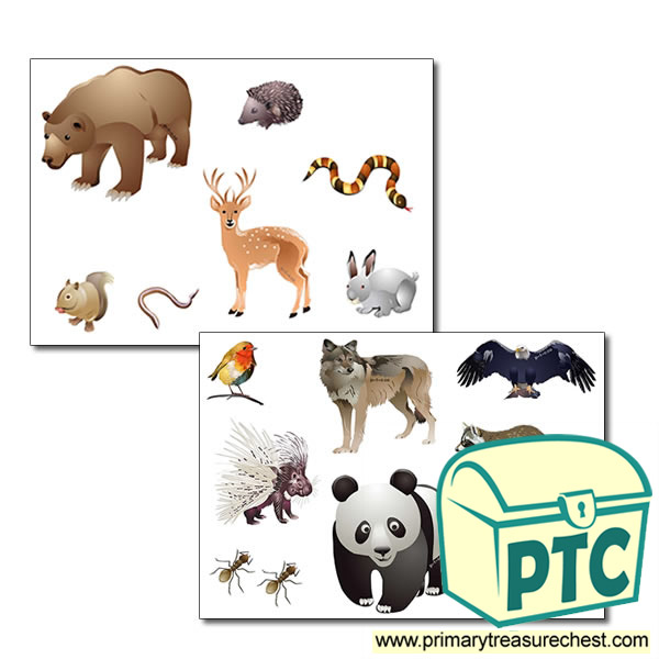 Forest and Wood Themed Animal Storyboard / Cut & Stick Images