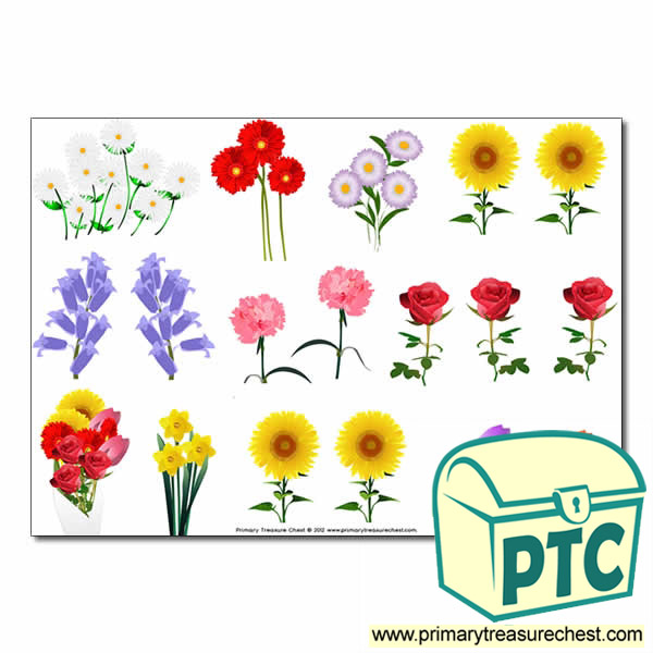 Flower Storyboard / Cut & Stick Images