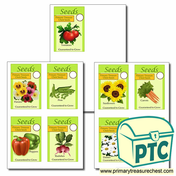 Role Play Garden Centre Packets of Seeds 
