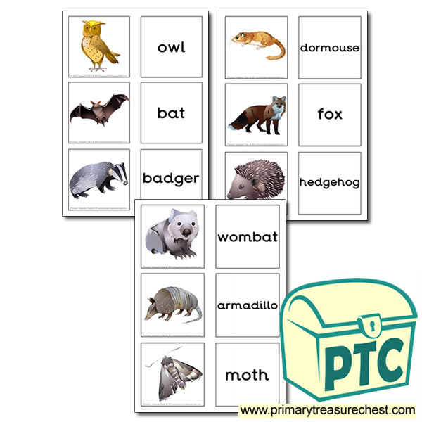 Nocturnal Animal Themed Matching Cards