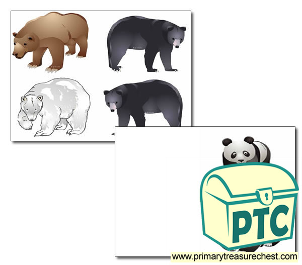 Bear Storyboard / Cut & Stick Images