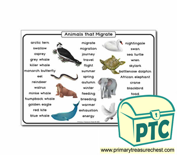 Animal Migration Themed Word Mat - Primary Treasure Chest