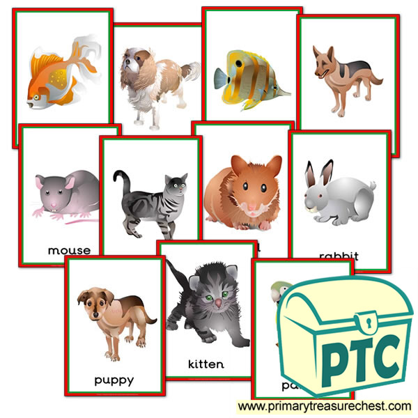 Pet Animals Themed Posters - Primary Treasure Chest